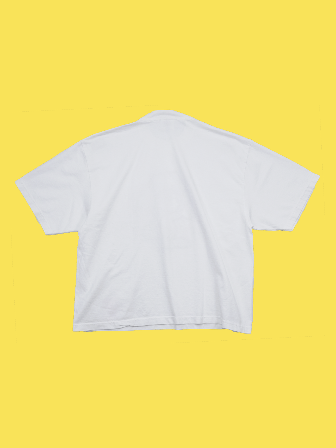 GOOD DOG  Tee Chihuahua-チワワ-