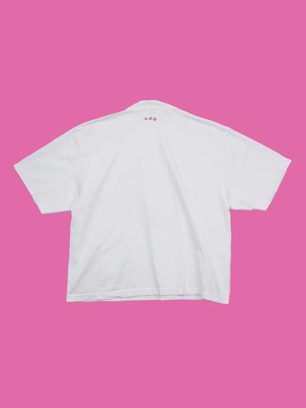 ALL DAY GOOD. tee   shiba inu-柴犬-