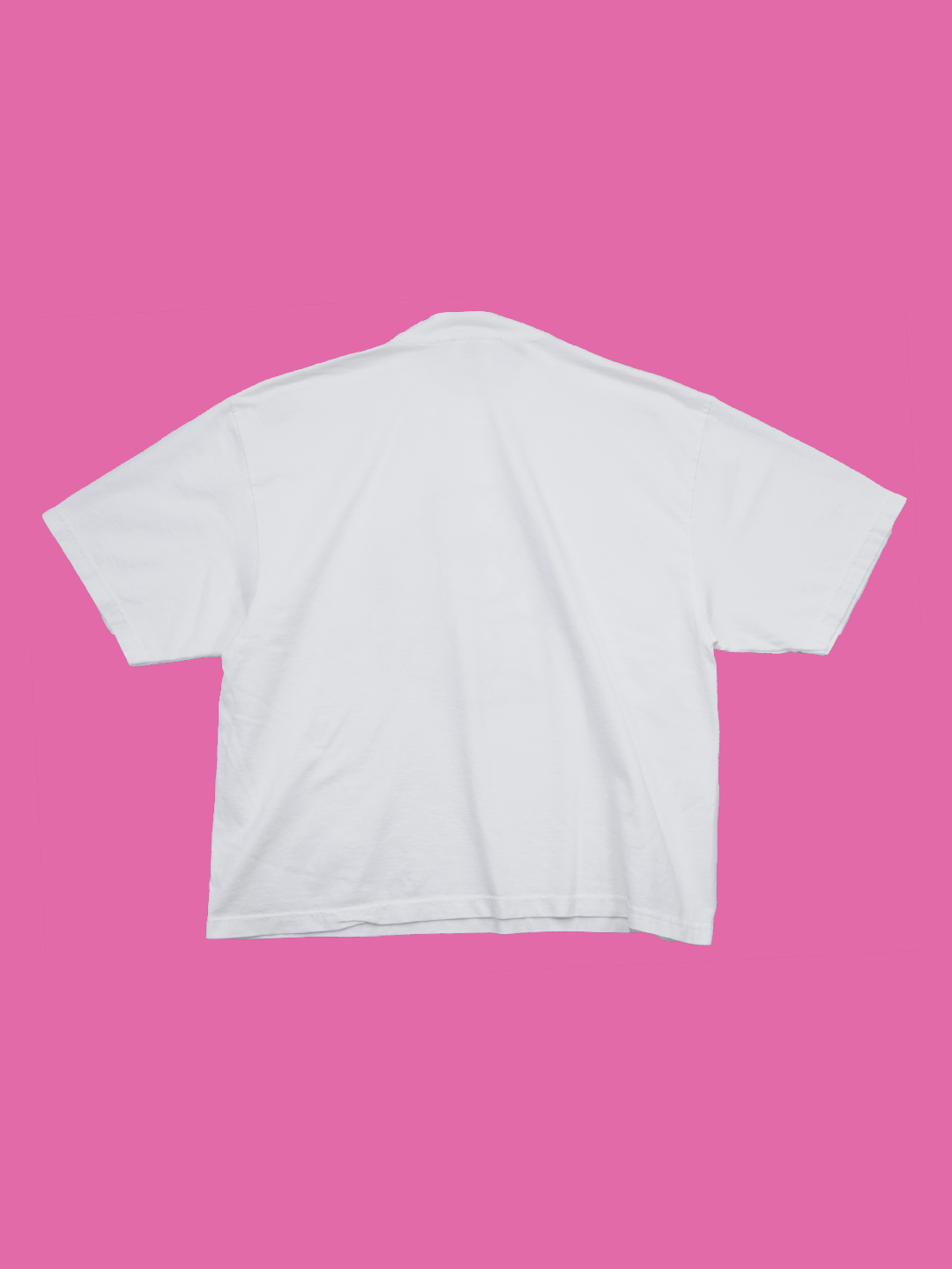 GOOD DOG  Tee Shiba Inu-柴犬-