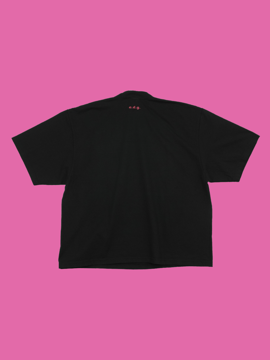 ALL DAY GOOD. tee   shiba inu-柴犬-